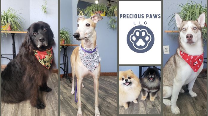 Pet Grooming
Dog Walking
In Home Pet Sitting