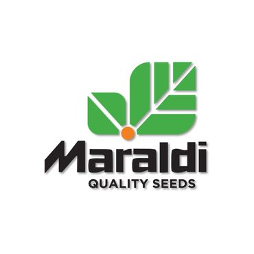 Maraldi Seed 2026 Toro Bulls End Zone Sponsor