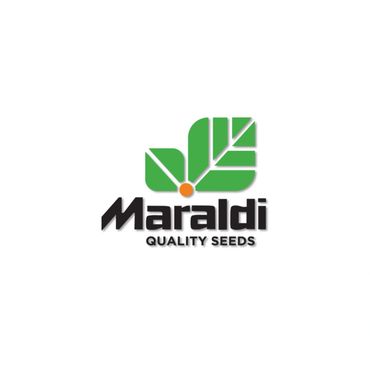 Maraldi Seed 2025 Toro Bulls End Zone Sponsor