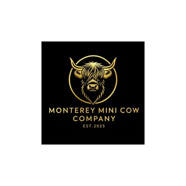 Monterey Mini Cow 2026 Toro Bulls End Zone Sponsor