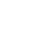 Network Services International