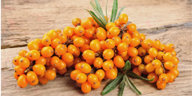Mag5PT contains Sea Buckthorn, one of the most potent antioxidant plants known, is rich in Proanthocyanidins, Flavonoids, and Polyphenols. Its antioxidant ability is 70X stronger than vitamin C. 







