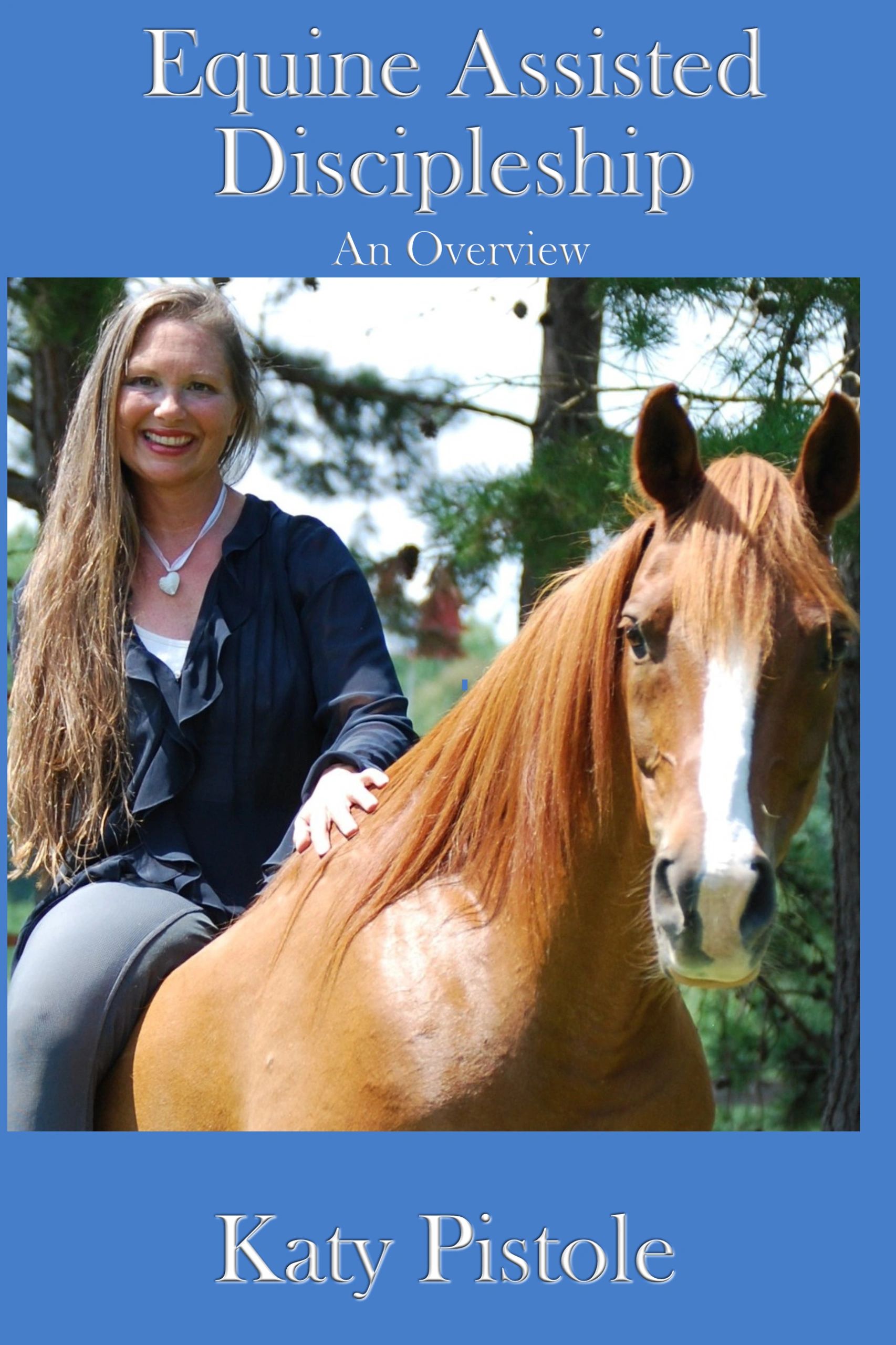 The front cover of Equine Assisted Discipleship: An Overview