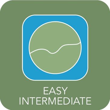 Easy Intermediate Icon