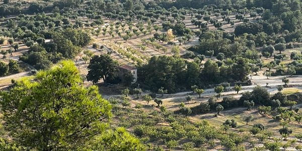 The farm from above.