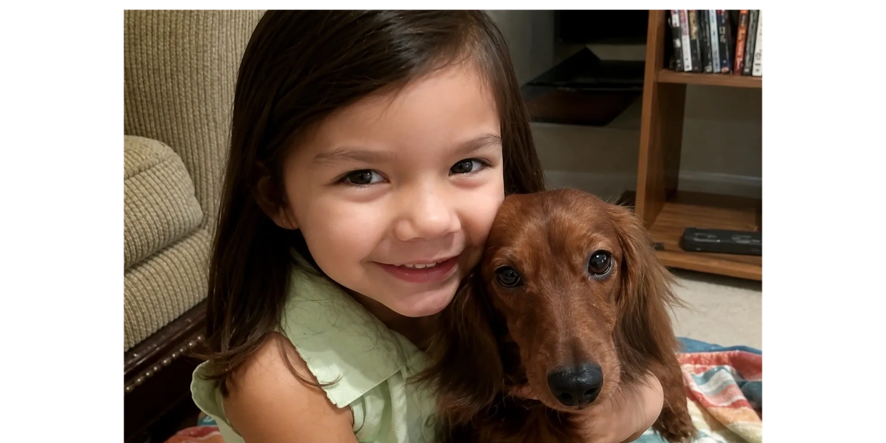 dachshund, mini dachshund, weenie dog, south dachshund, female dachshund, male dachshund, ms, biloxi