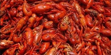 boiled crawfish