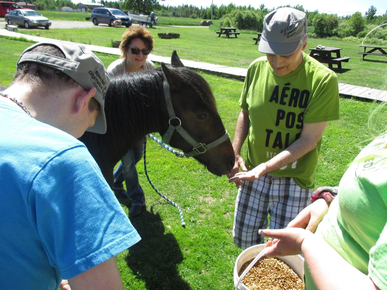 Des clients des SHDS sont dehors à caresser et à nourrir les chevaux.