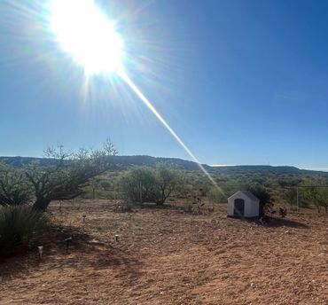 Bright sun over a dry landscape with sparse trees and a dog house.