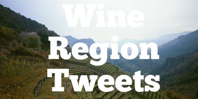 Wine Region Tweets