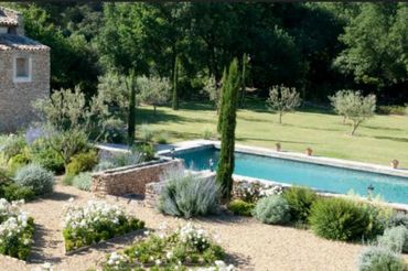 A serene garden with white flowers and a rectangular swimming pool.