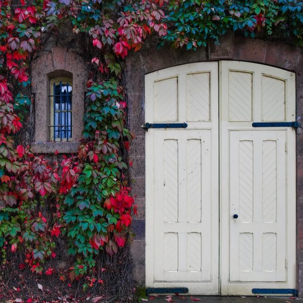gorgeous gate door to a clean healed house