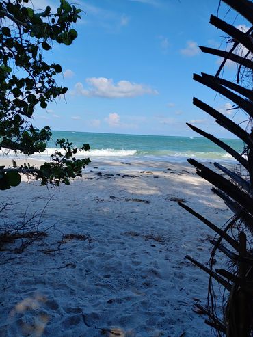 brant-crockett-hidden-path-to-lido-beach