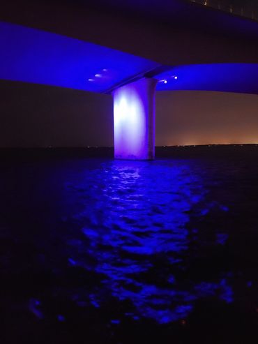 brant-crockett-looking at ringling-bridge-led-lights