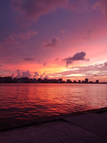 brant-crockett-looking-at-pink-sunrise-over-sarasota-bay
