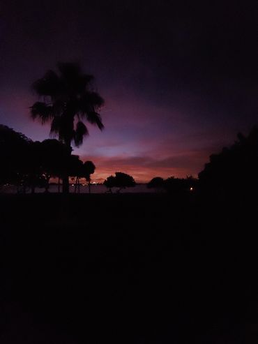 brant-crockett-watching-sunrise-over-dog-park-at-bird-key