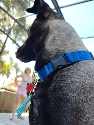 brant-crockett-wonders-who-is-boss