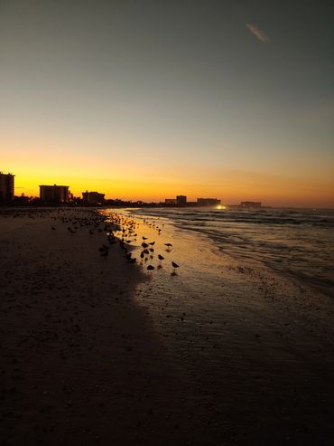 robert-brant-crockett-at-lido-beach-sunrise-seagulls