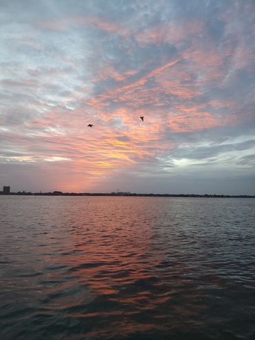 robert-brant-crockett-watching-birds-fly-over-sarasota-bay