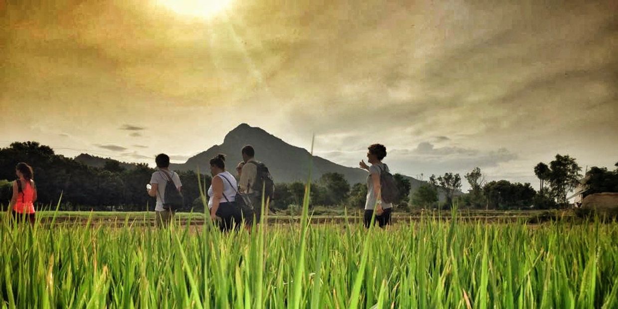 Camino de Arunachala. Peregrinaje de Yoga y Ayurveda en el Sur de India. Milindias Yoga Pilgrimages