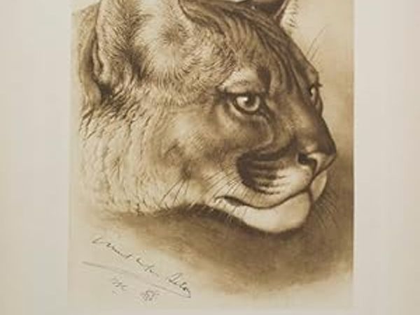 From Lives of Game Animals, $4000 book through Abe Books: https://www.abebooks.com/signed-first-edit