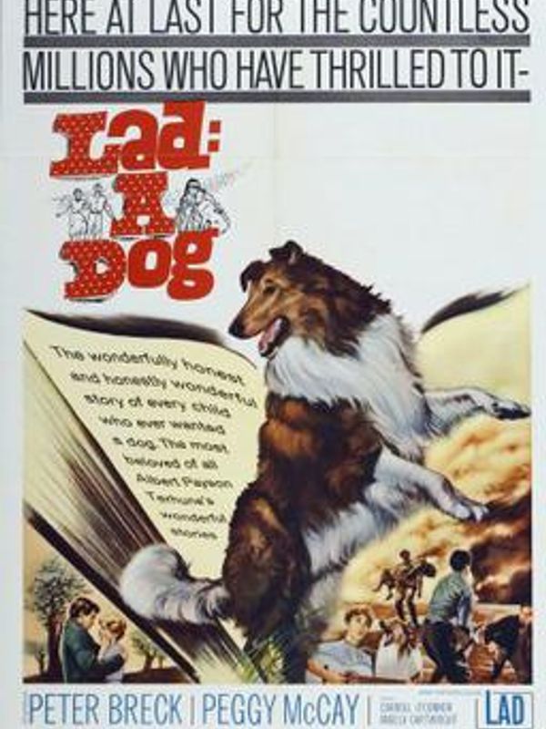 Movie poster for Lad: A Dog with images of a dog and people.