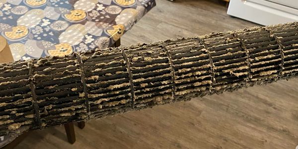 thermopompe québec
moisissures
bactéries
ile d'Orléans
climatiseur
qualité air