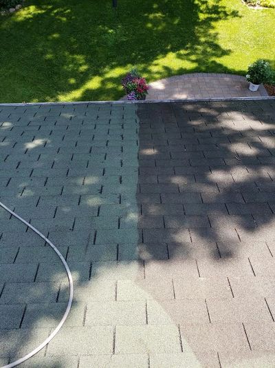 Pressure Washing
Power Washing
Roof Washing