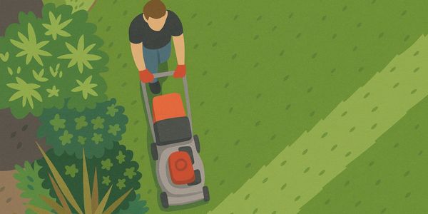 Gras maaien