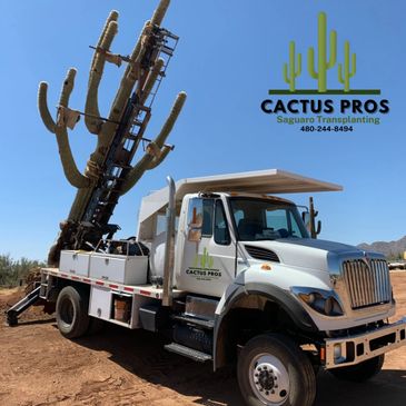 Saguaro Transplanting Residential and Commercial