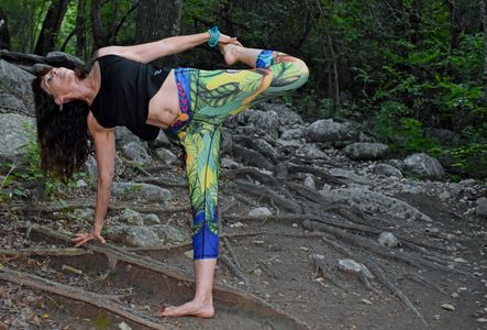 Ardha Chandrasana ~ Half Moon