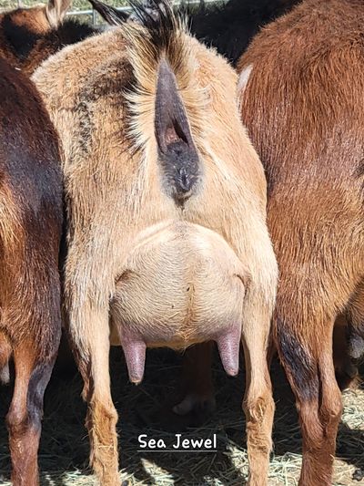 One of Noble's daughters