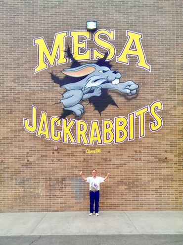 High School Logo On Wall