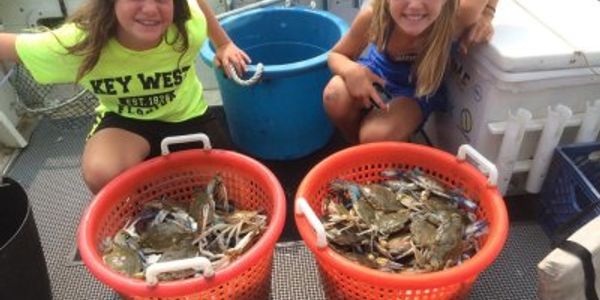 Crabbing - Annapolis fishing charters on board the Down Time