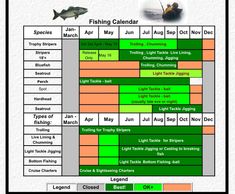 fishing seasons Down Time Charters - Chesapeake Sport fishing Charters