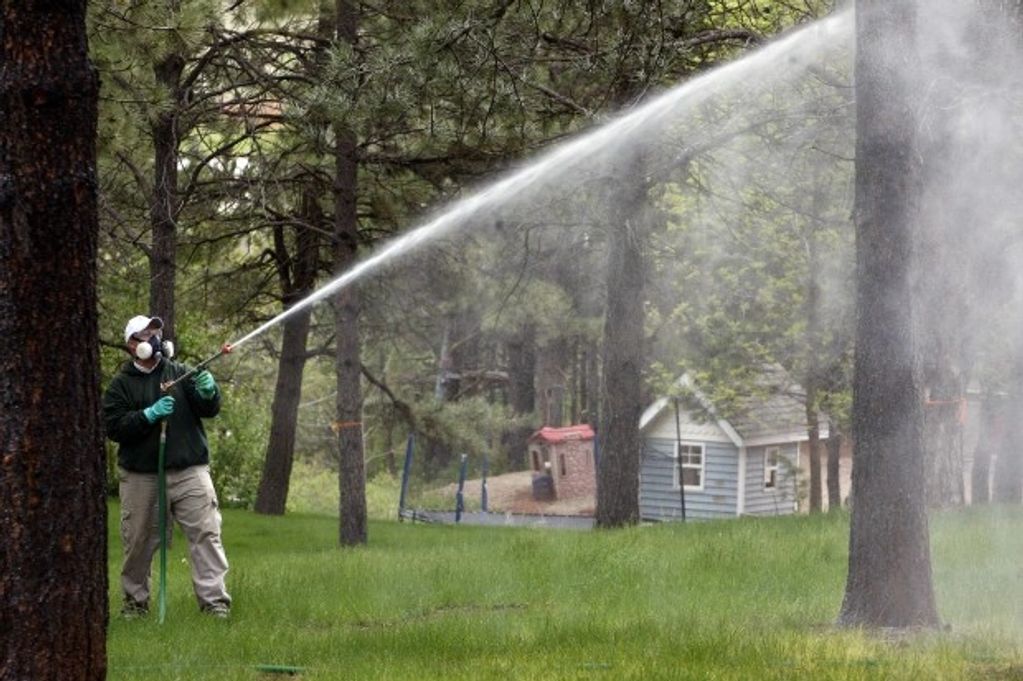 Spray Application
