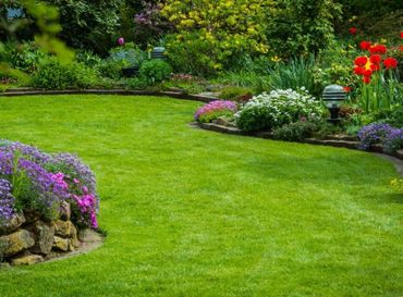 A vibrant garden with lush green grass and colorful flowers along the edges.