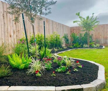 A landscaped garden bed with various plants and trees bordered by stone and a wooden fence.