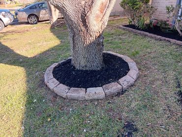 A tree surrounded by black mulch and stone border in a lawn.