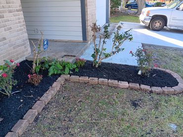 Freshly mulched garden bed with rose bushes bordered by bricks near a driveway.