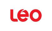 Leo surveys logo