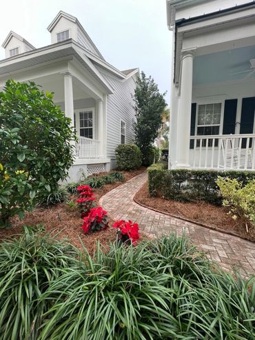 Nice garden at Celebration Orlando FL