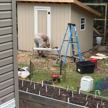 Building our main duck house, working on the door.