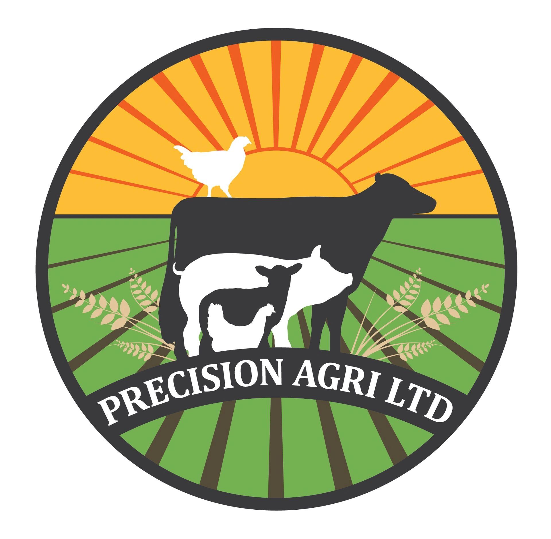 Precision Agri Logo