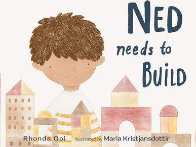Book cover with a boy named Ned and building blocks.