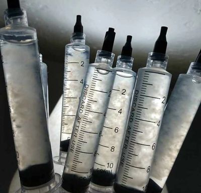 Third Eye Fungi Liquid Culture for Mycelium Mycology Research Syringe