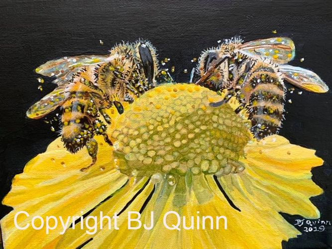 Elizabeth BJ Quinn paints pictures of honey bees and other pollinators