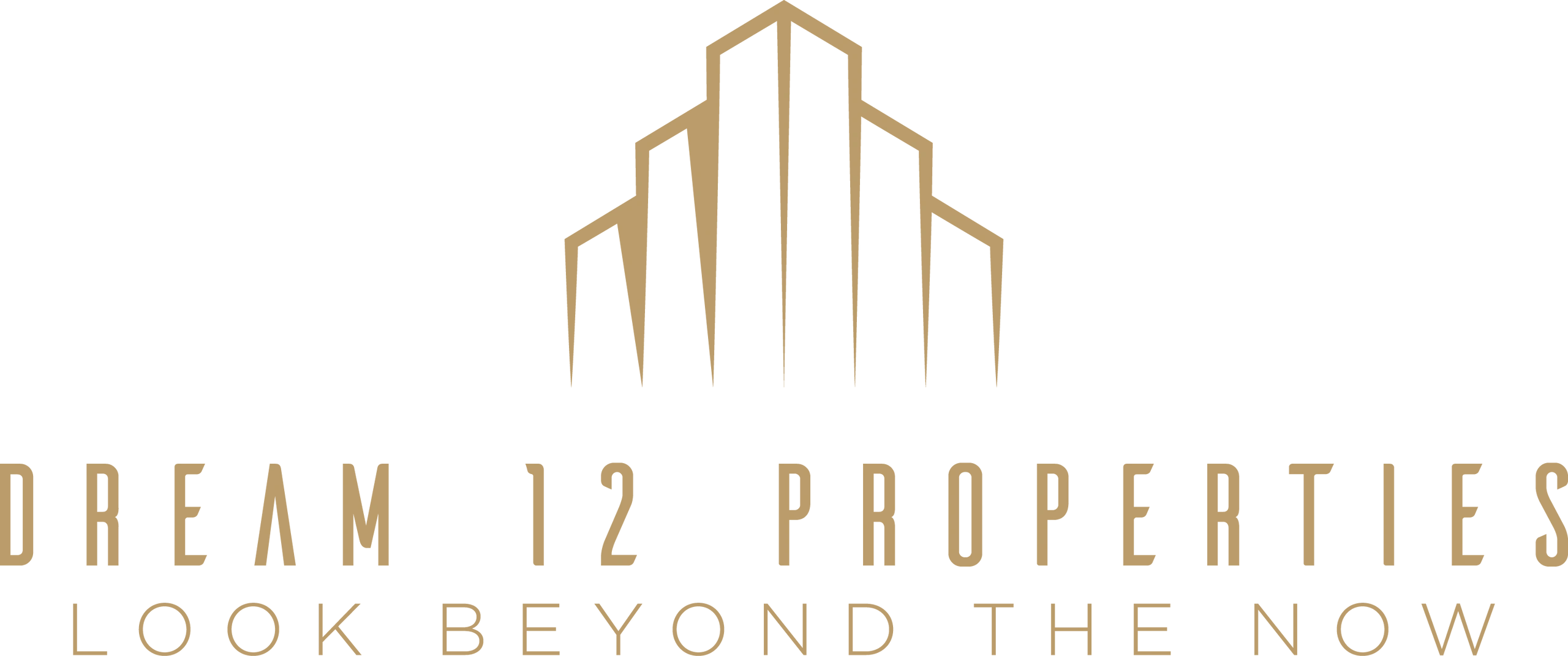 Dream 12 Properties logo