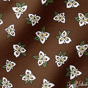 Sego lily flowers native to the Utah desert wilderness, tossed on a chocolate brown background.