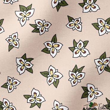 Sego lily flowers native to the Utah desert wilderness, tossed on a sandy cream background.